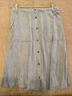 Life in Progress Forever 21 Small skirt/mid length/cottage core button down blue